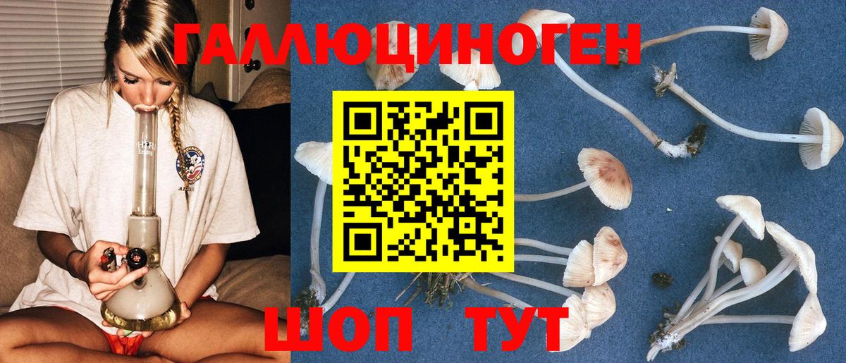 Кропоткин  Галлюциногенные грибы Psilocybe  Вход с VPN 