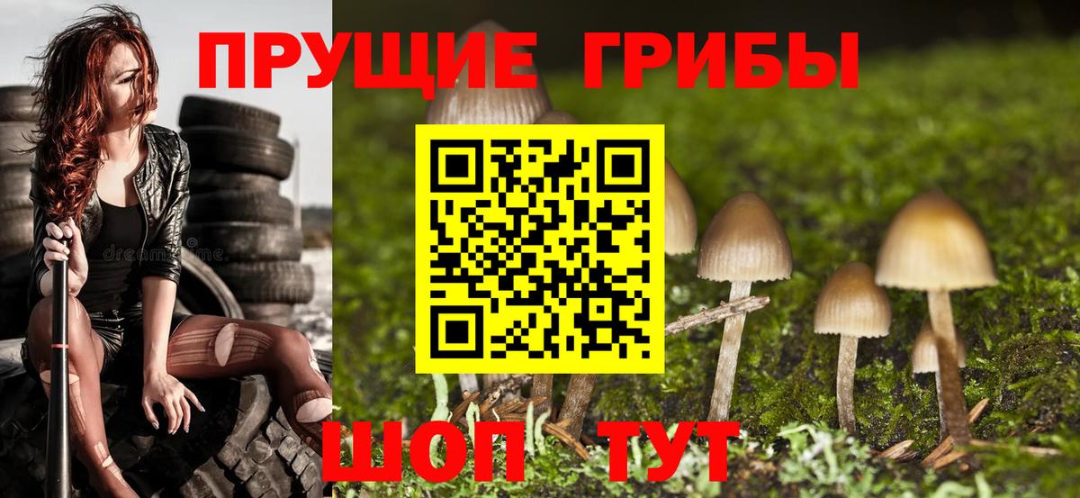 Псилоцибиновые грибы мицелий Кропоткин